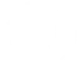 DNV 7510