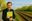 Tweede spoor traject