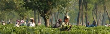 Zorg van de Zaak Foundation schiet partners te hulp in coronacrisis