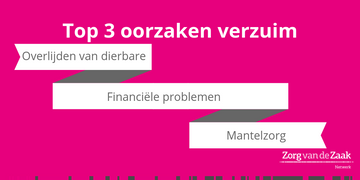 Meest voorkomende oorzaken van verzuim
