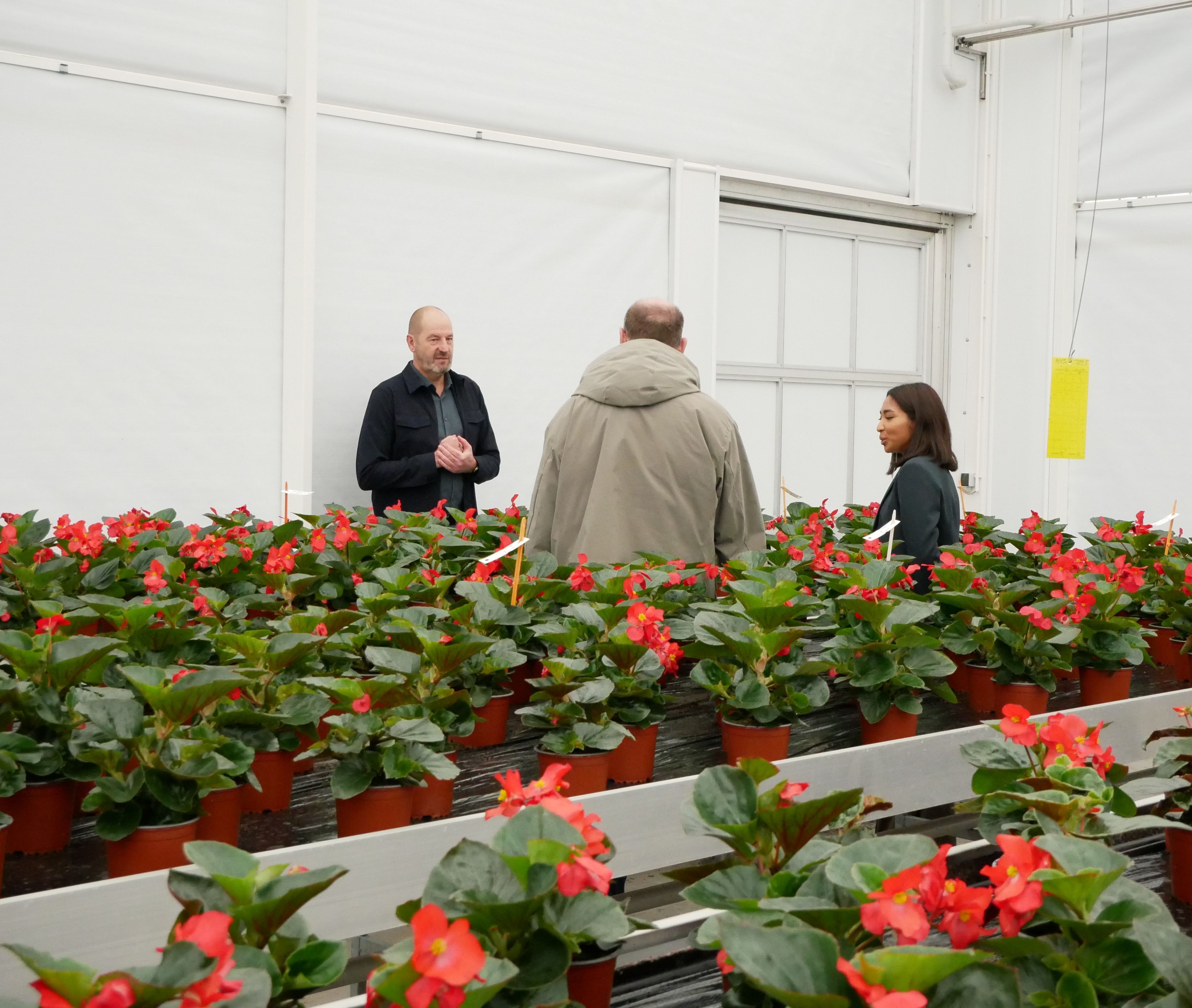 Directeur voor 1 dag - PanAmerican Seed