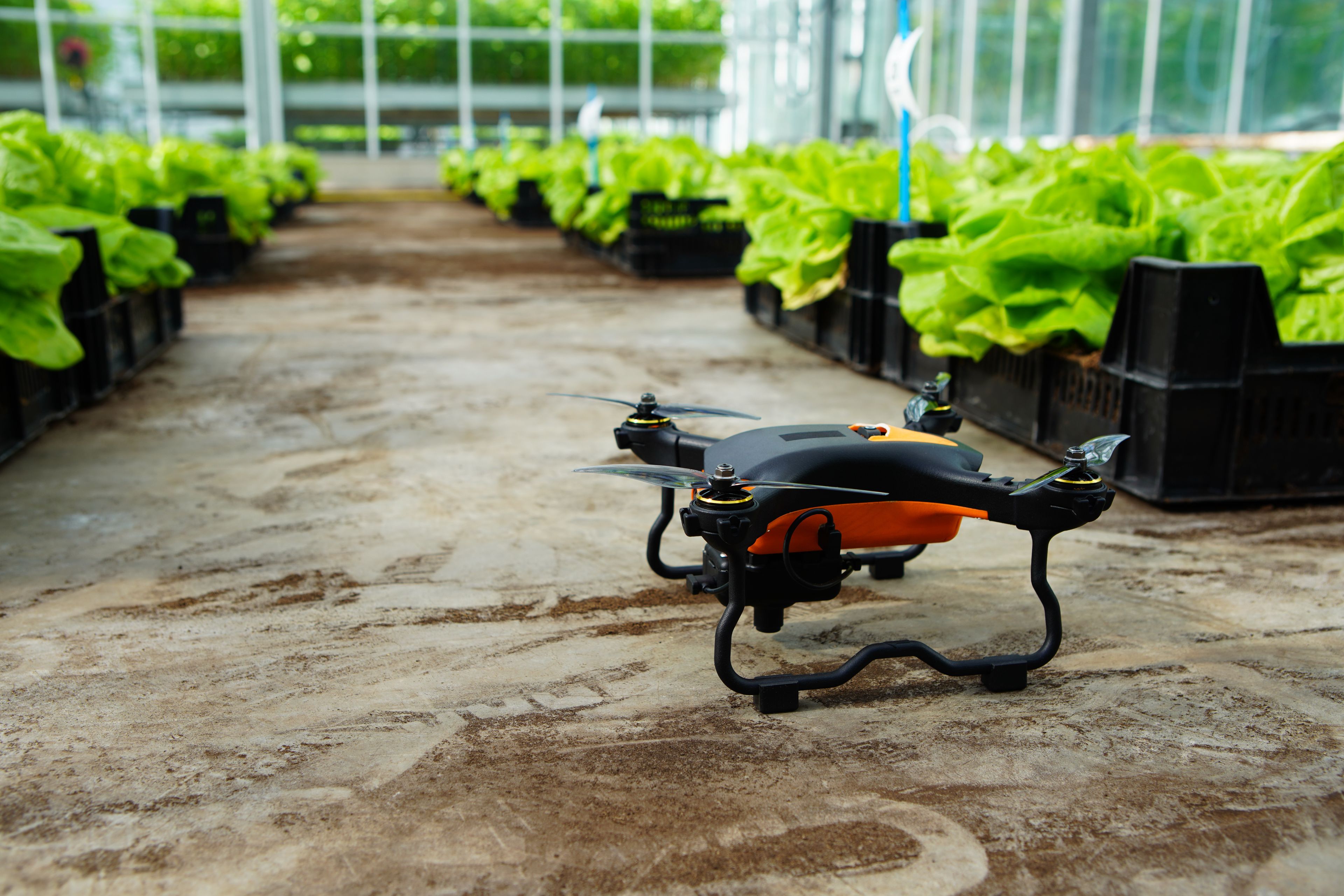 Drone Vertify