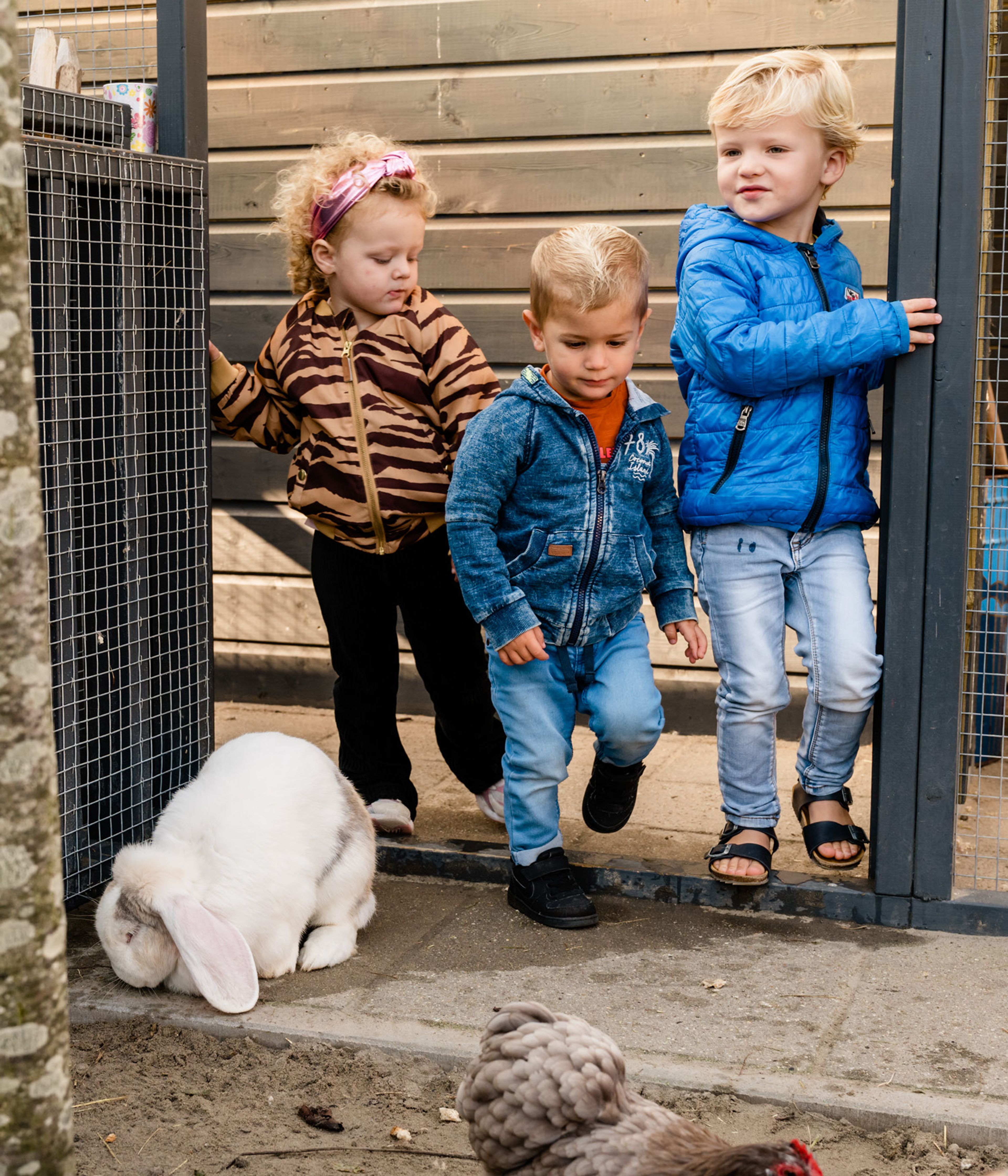 Openingstijden en opties Dr. Schaepmanlaan