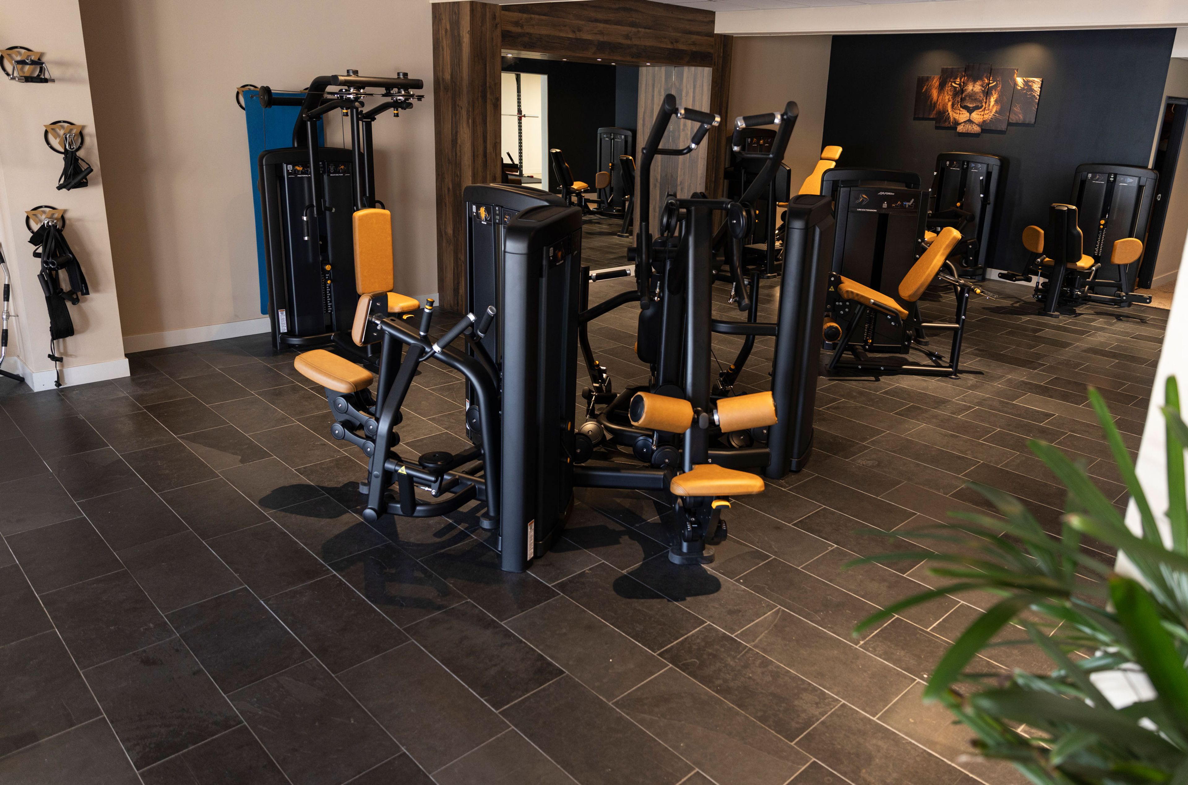 Nieuw: Fitness Only abonnement!