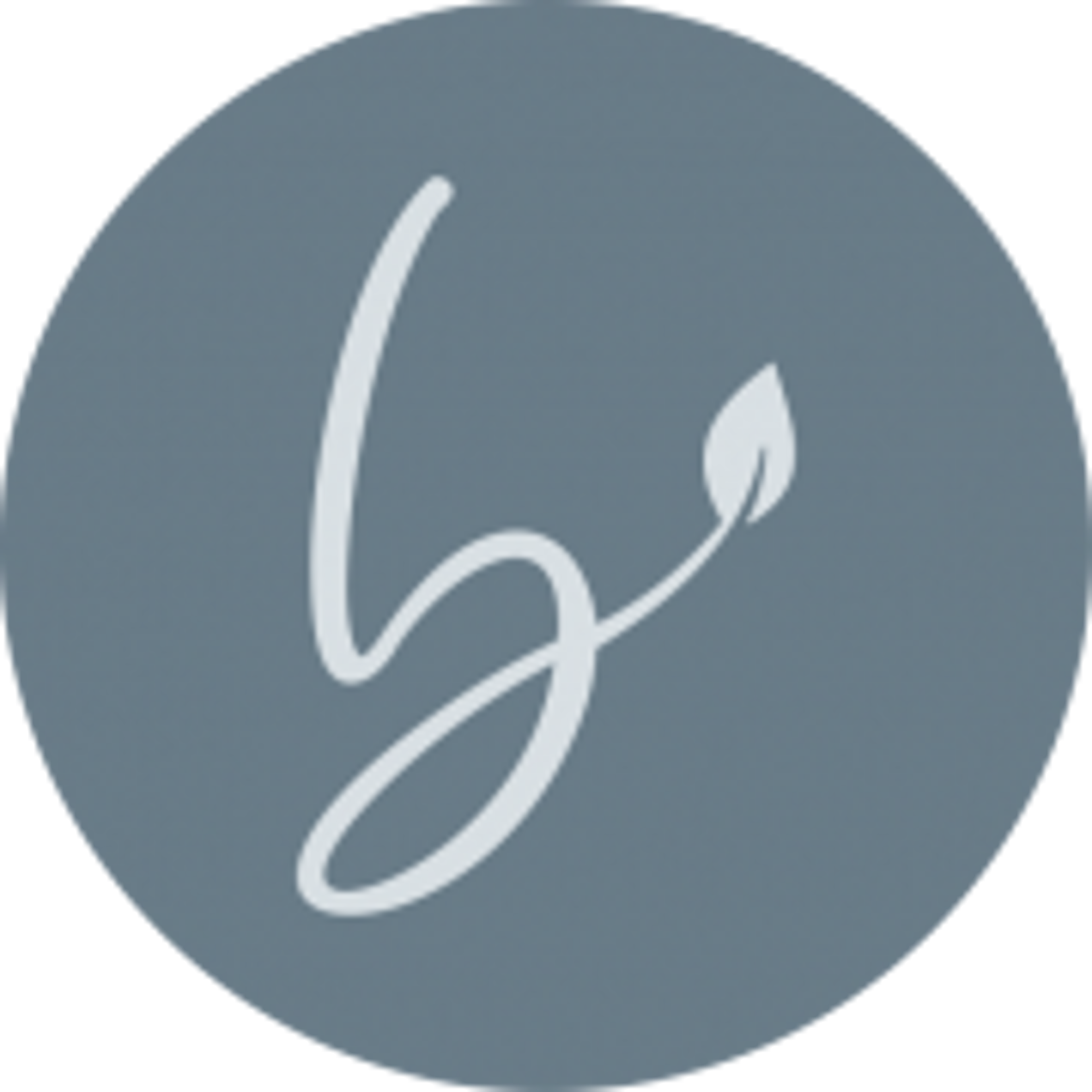 Favicon de Boomgaard