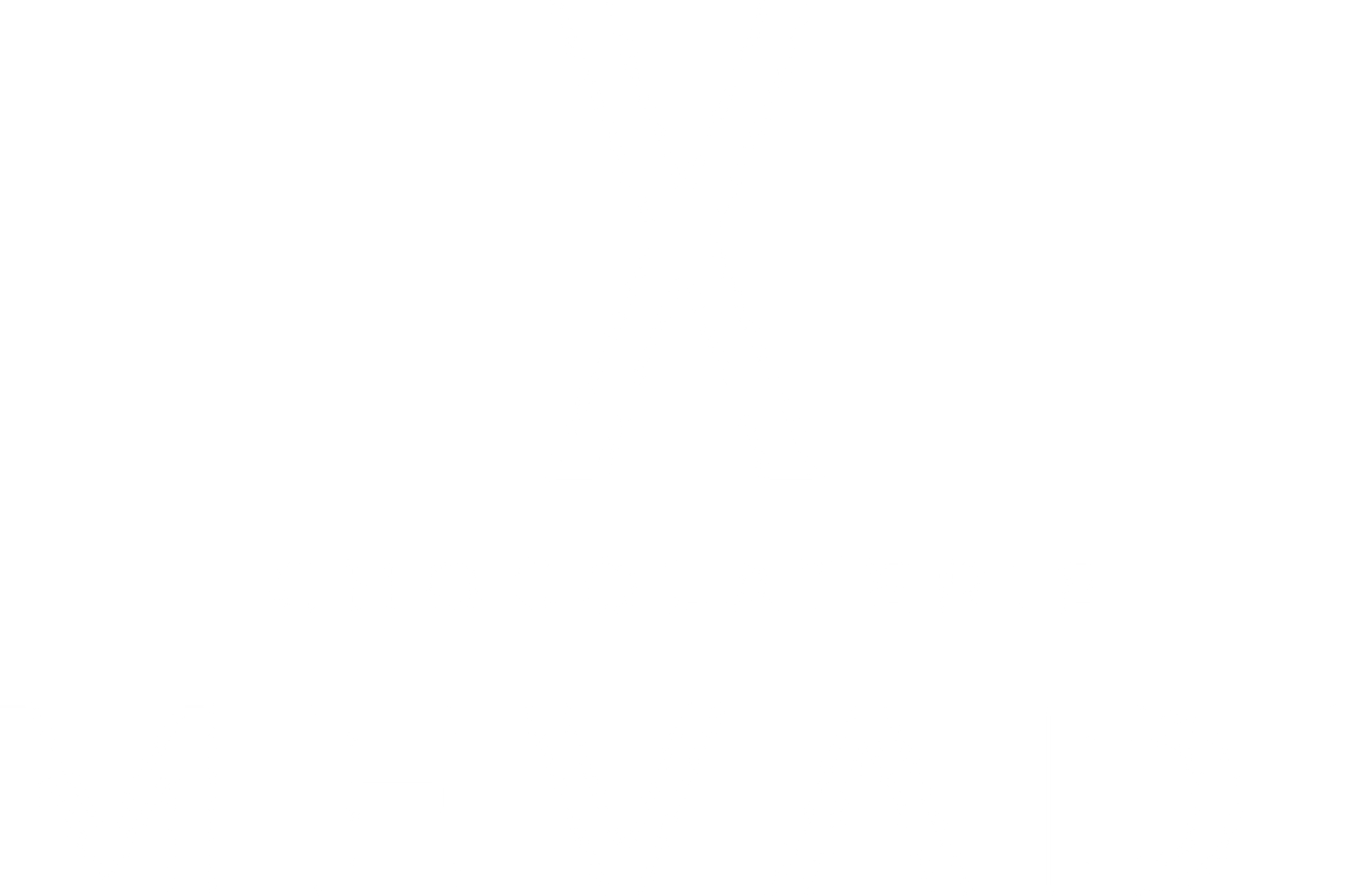 Mevadi Logo wit