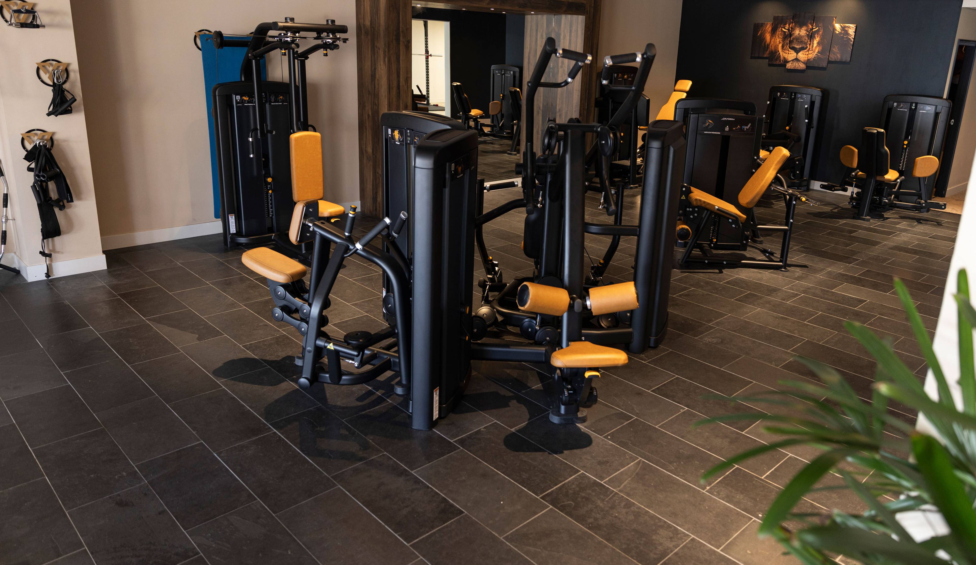 Trainen met aandacht, resultaat en plezier