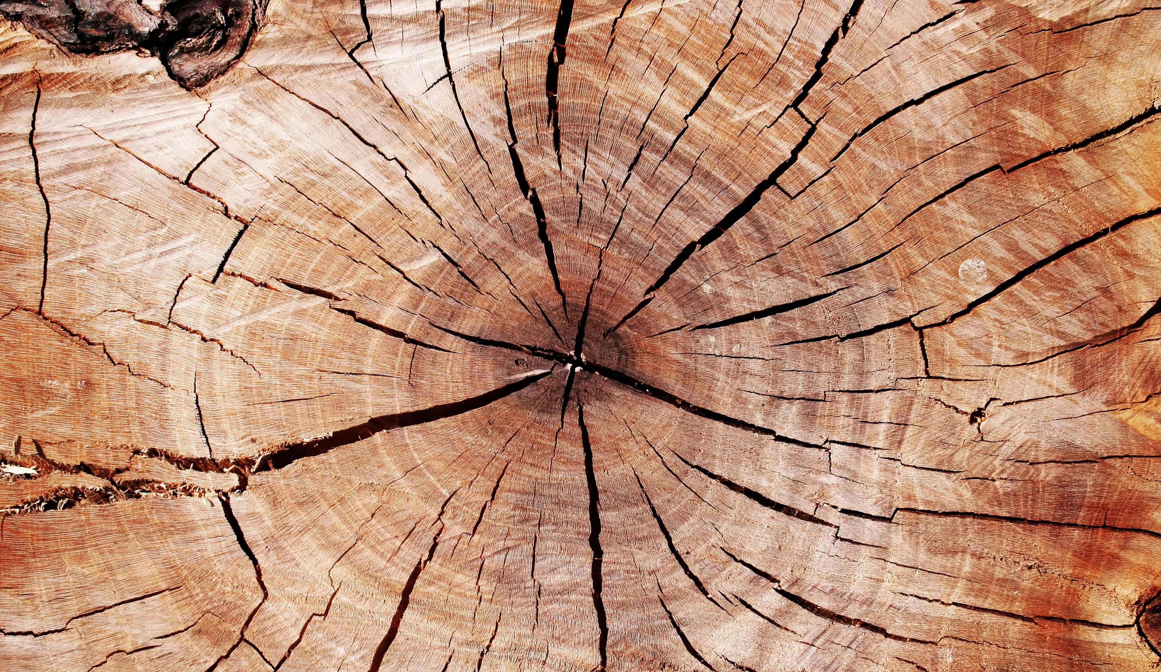 Samen op weg naar balans en kracht vanuit je kern
BELEEF - ADEM - GROEI