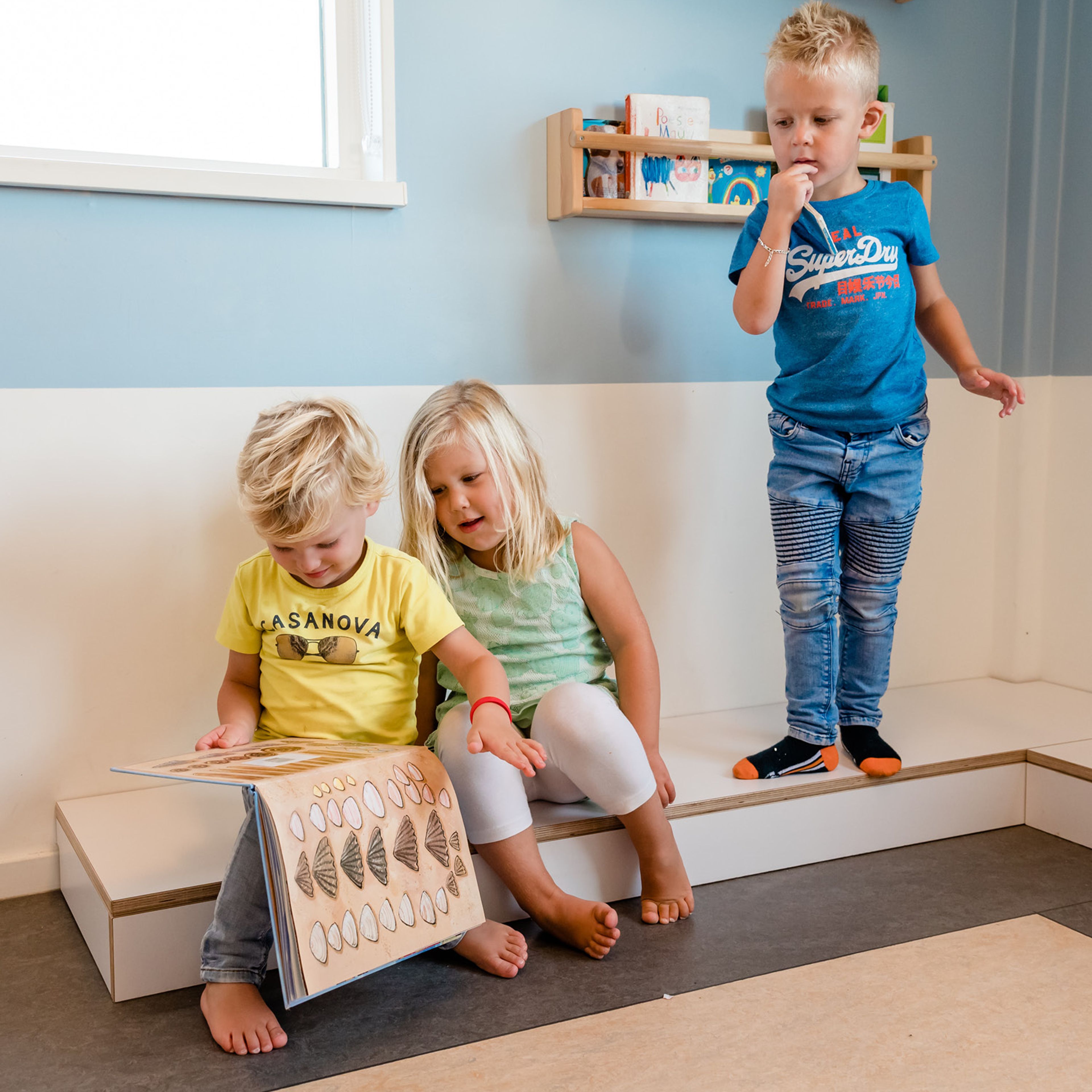 Het beleid bij de Boomgaard