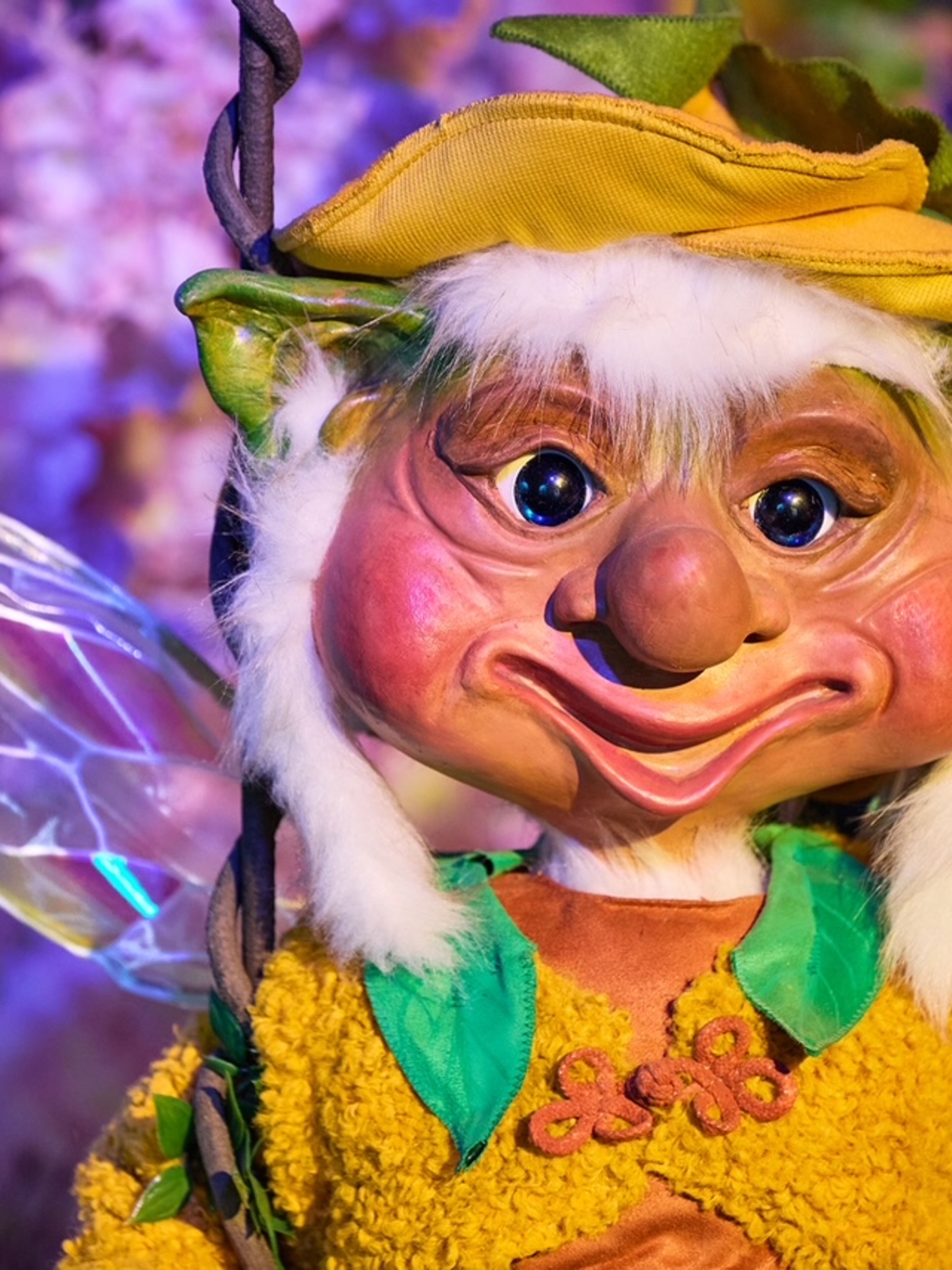 Esthie project Duinrell Express