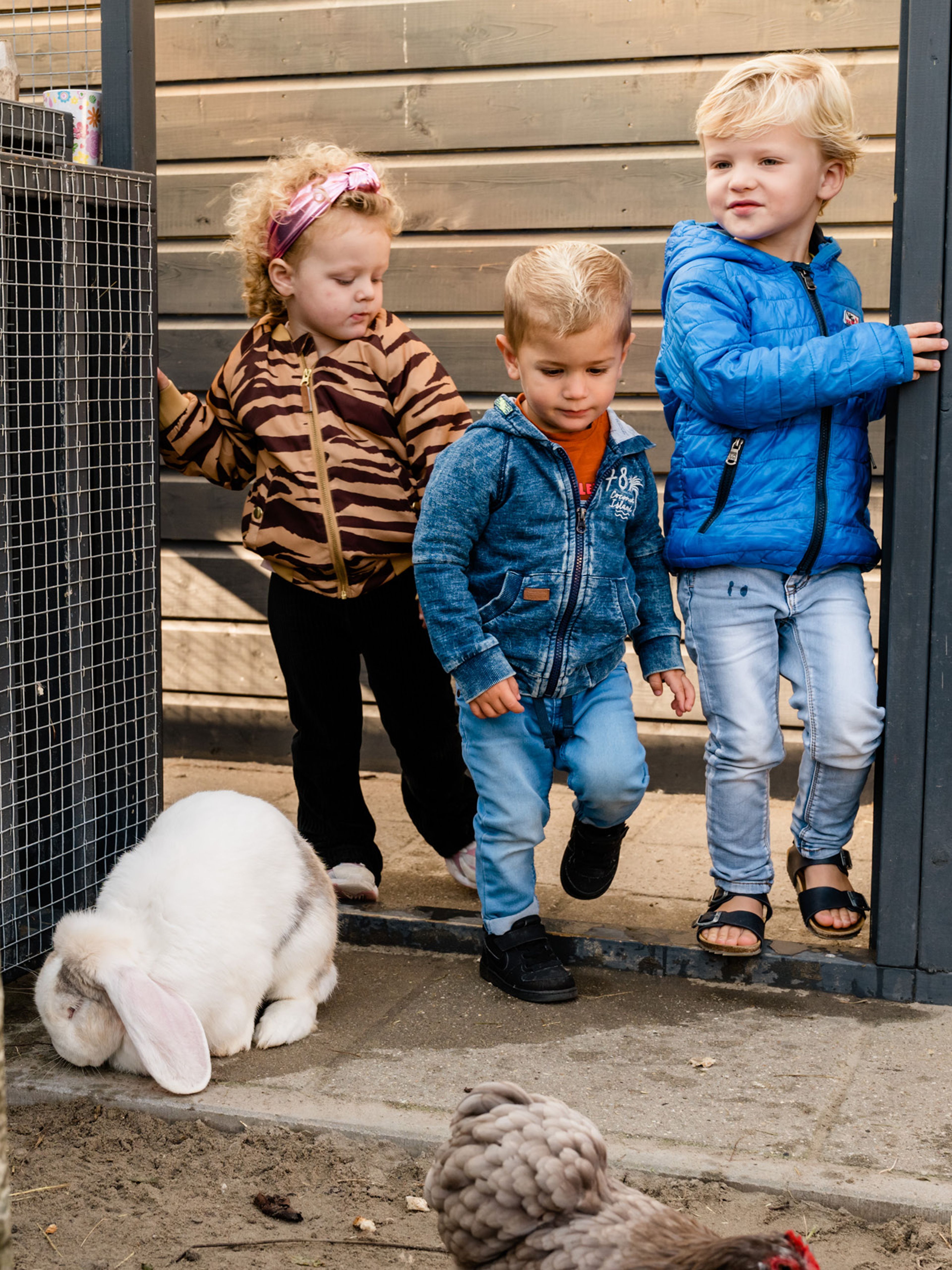 Openingstijden en opties Dr. Schaepmanlaan