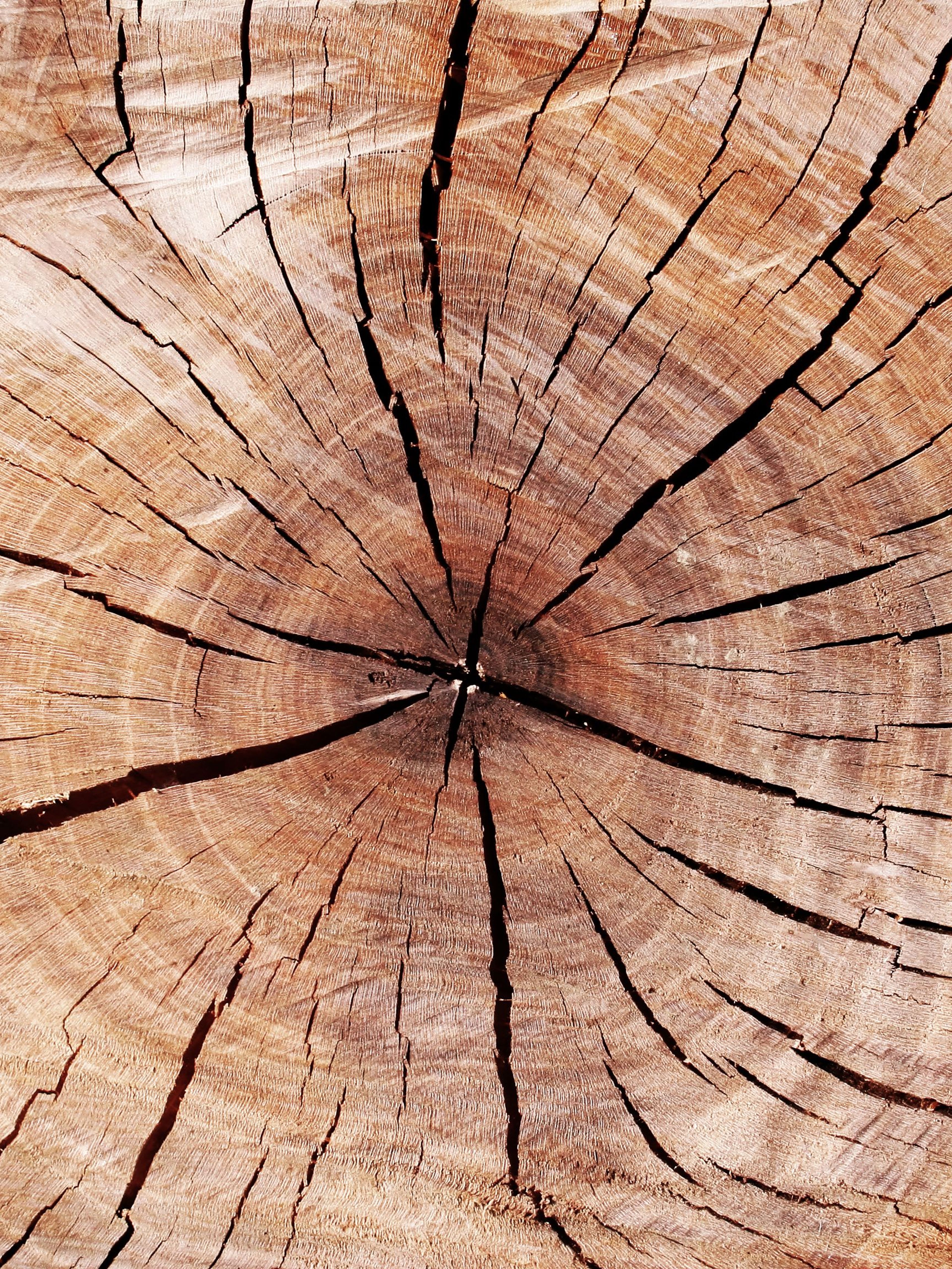 Samen op weg naar balans en kracht vanuit je kern
BELEEF - ADEM - GROEI