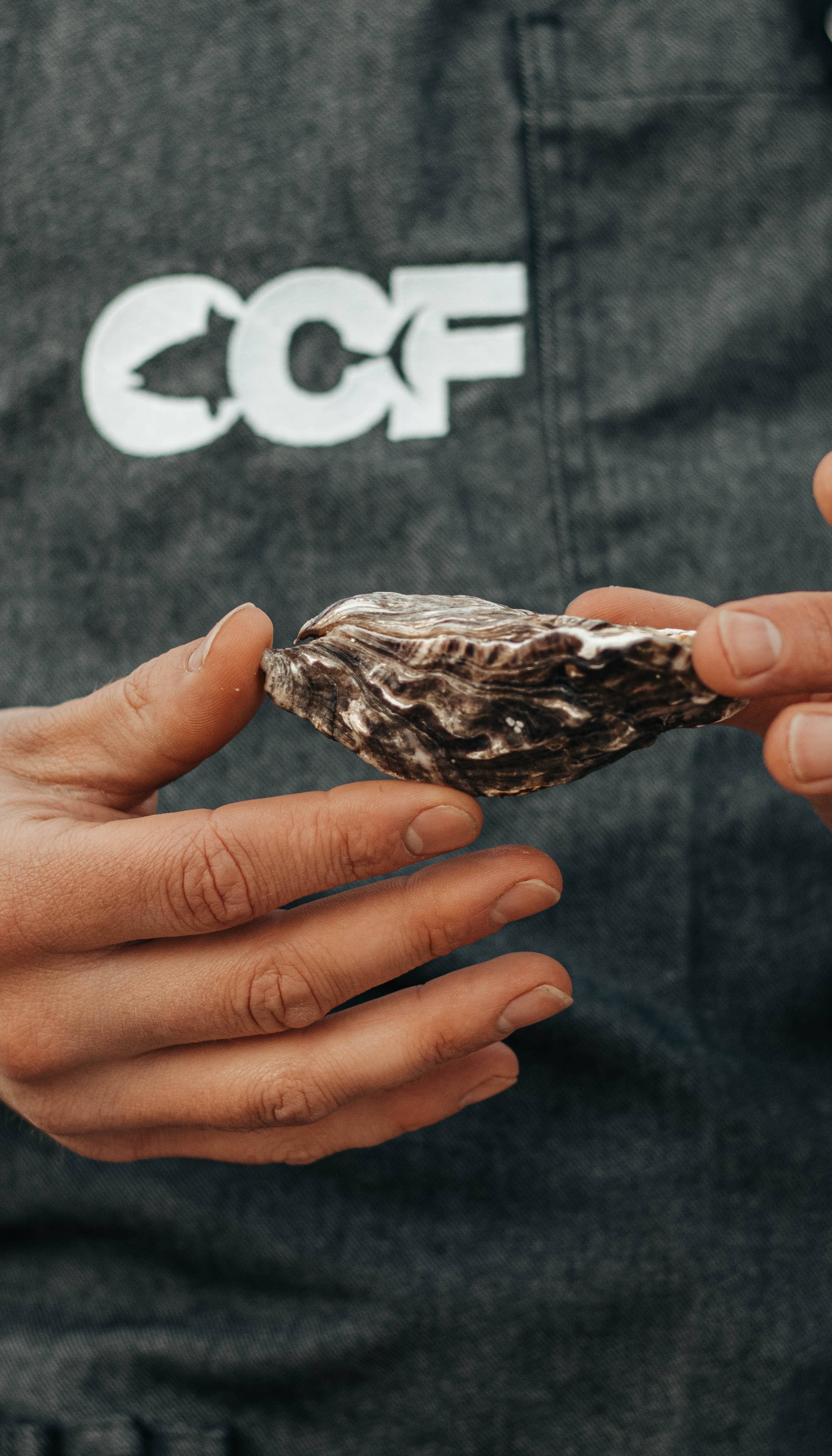 COF events