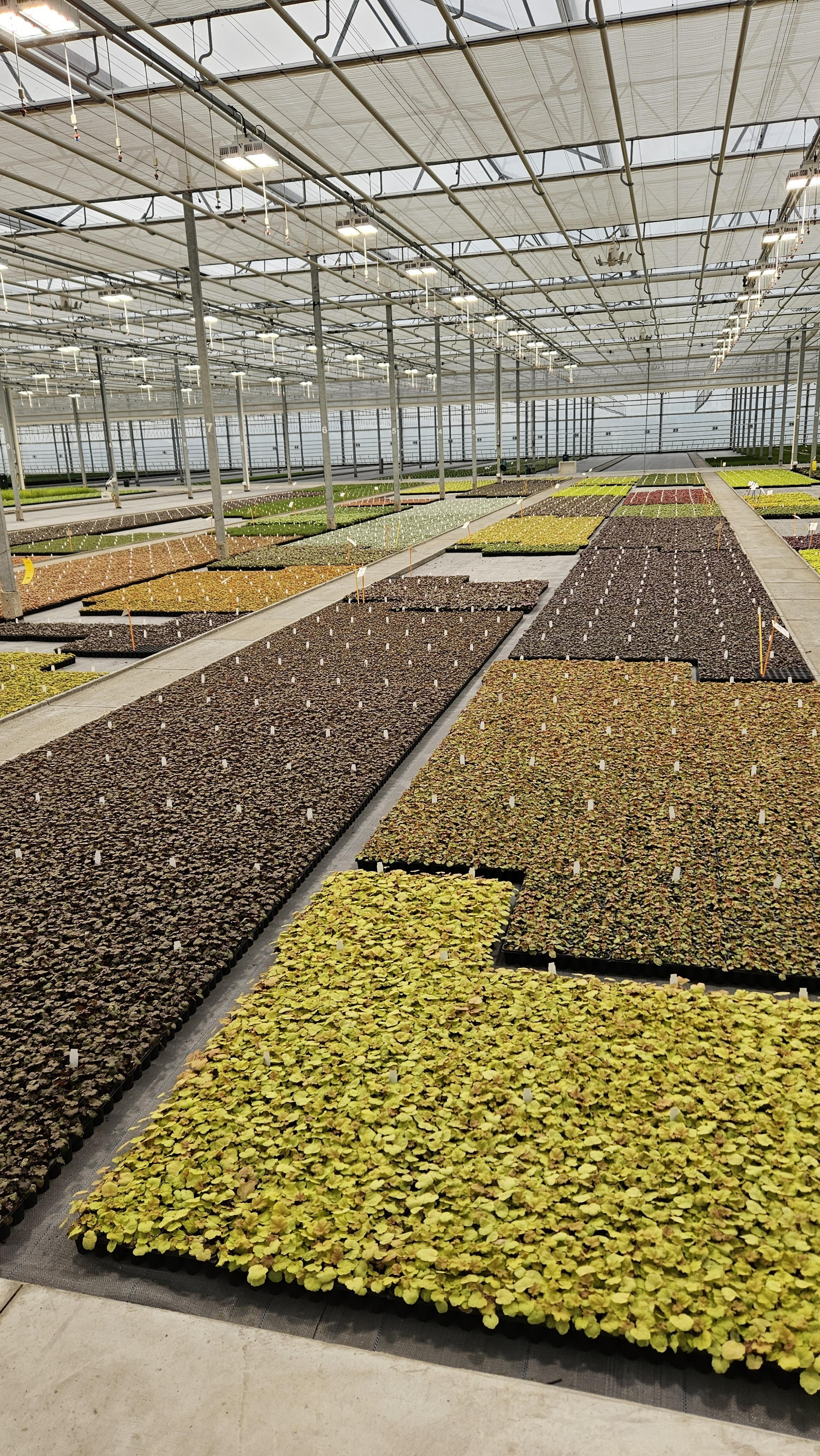 Allplant Header 2