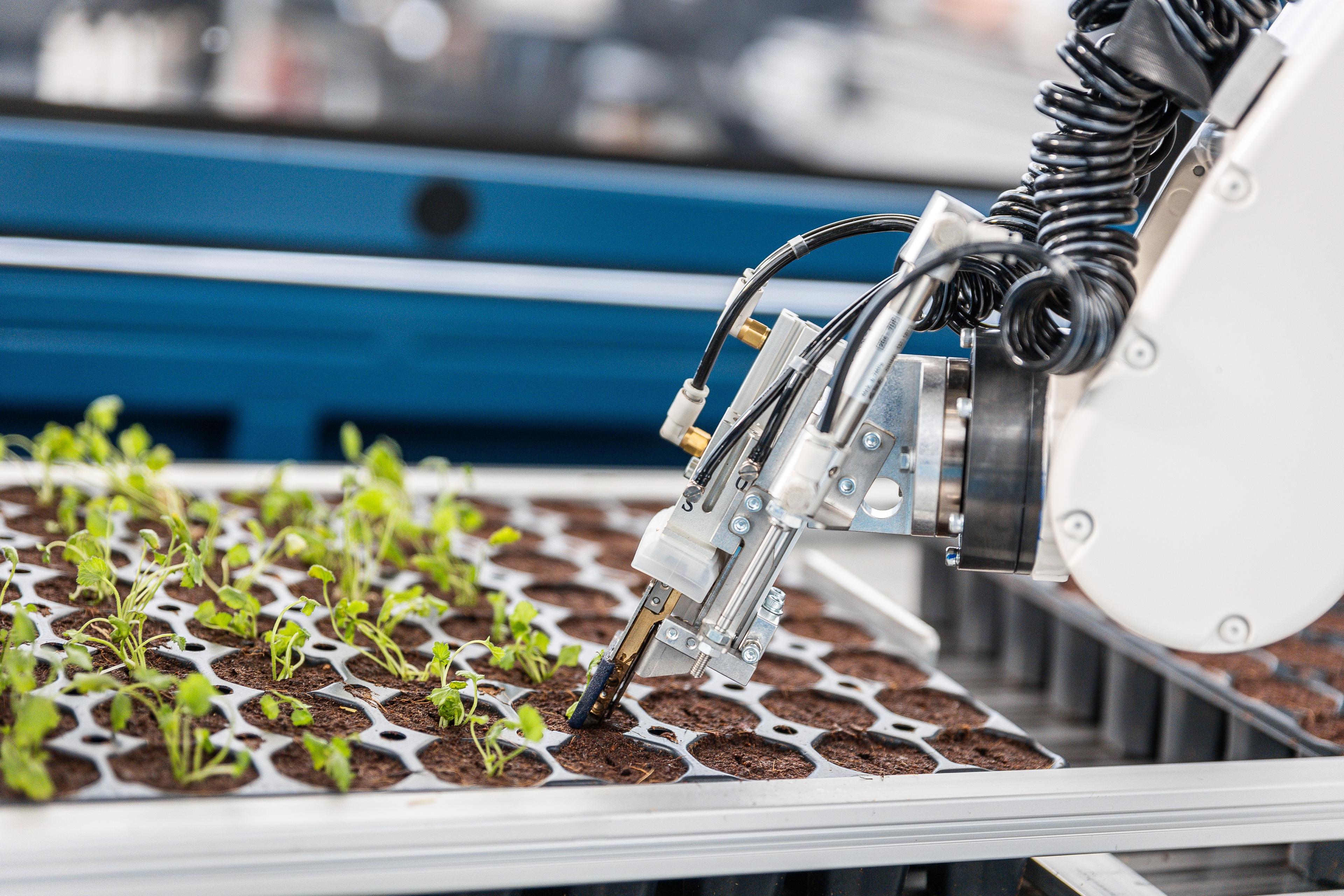 Allplant robot