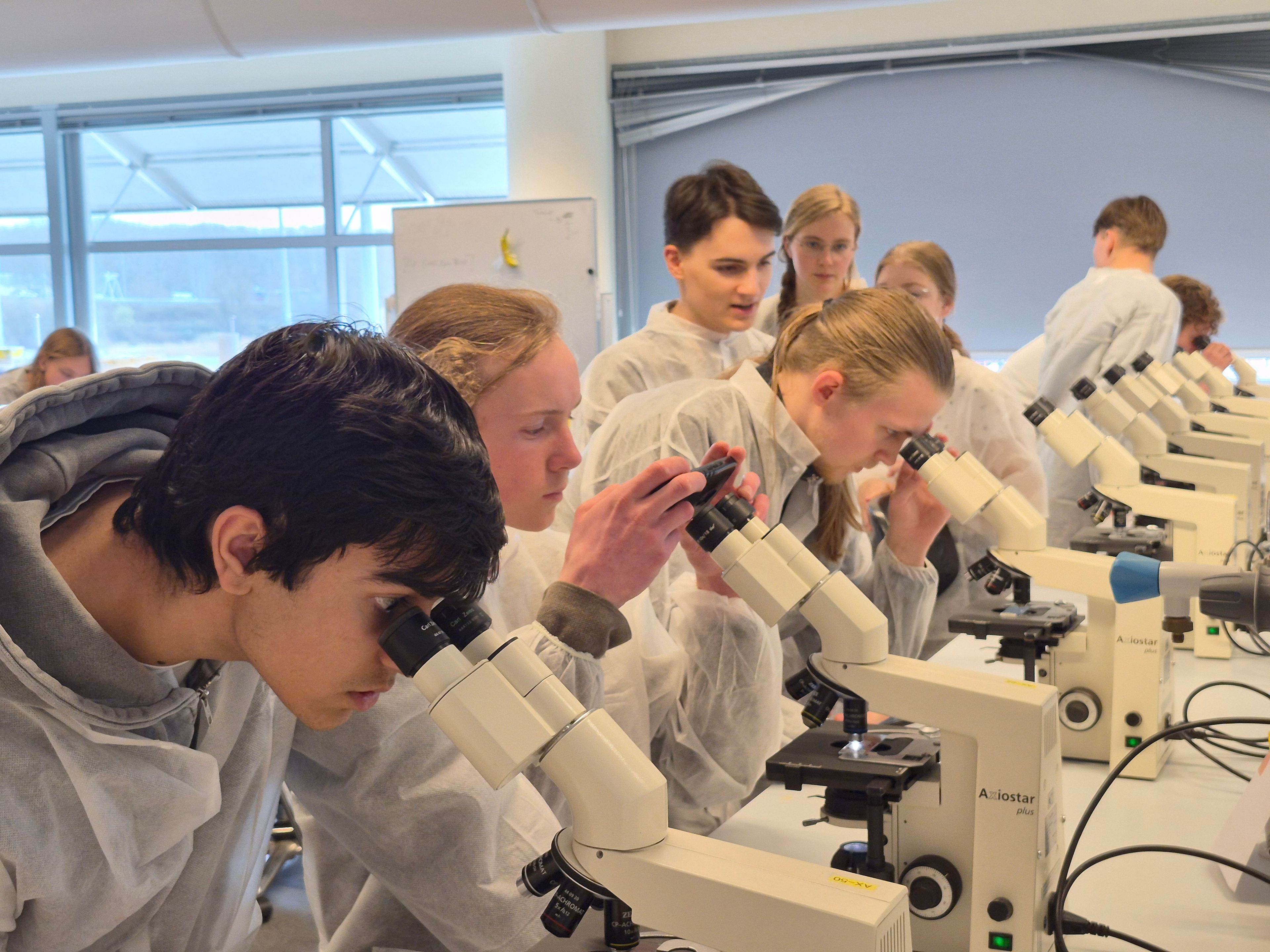 Biologie Olympiade - UvA practica 2026