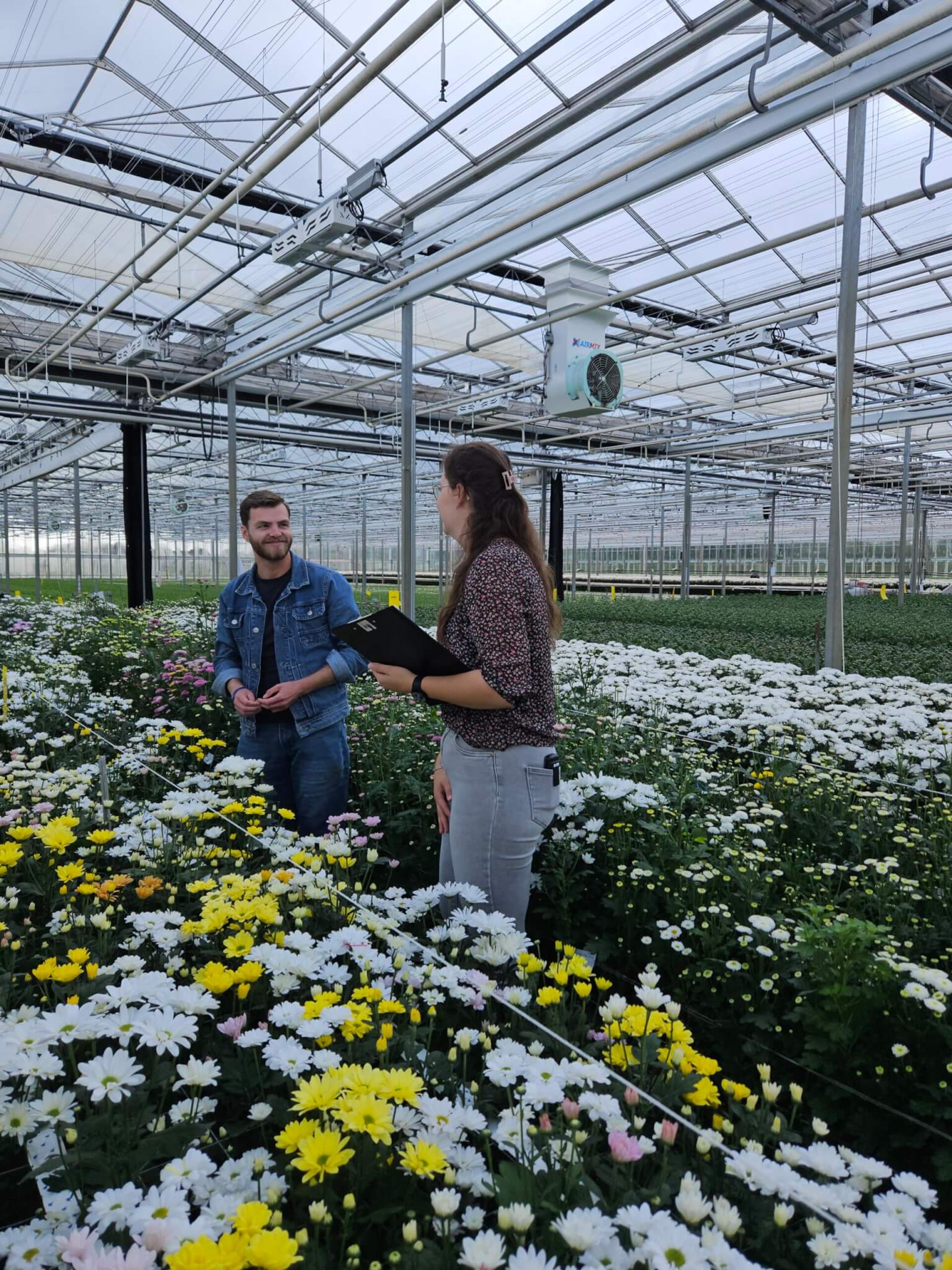 De rol van Veredelaar