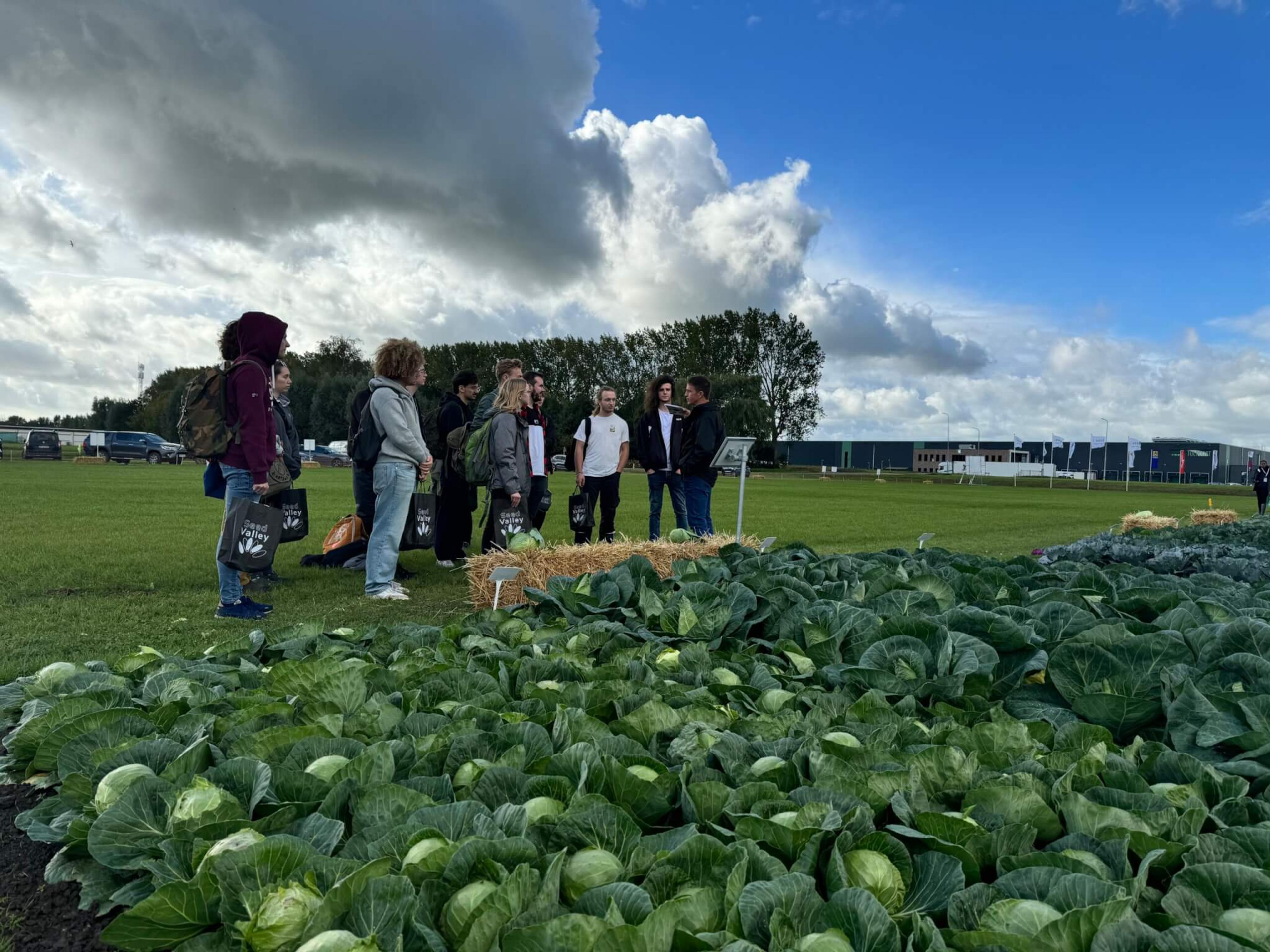Fields of innovation