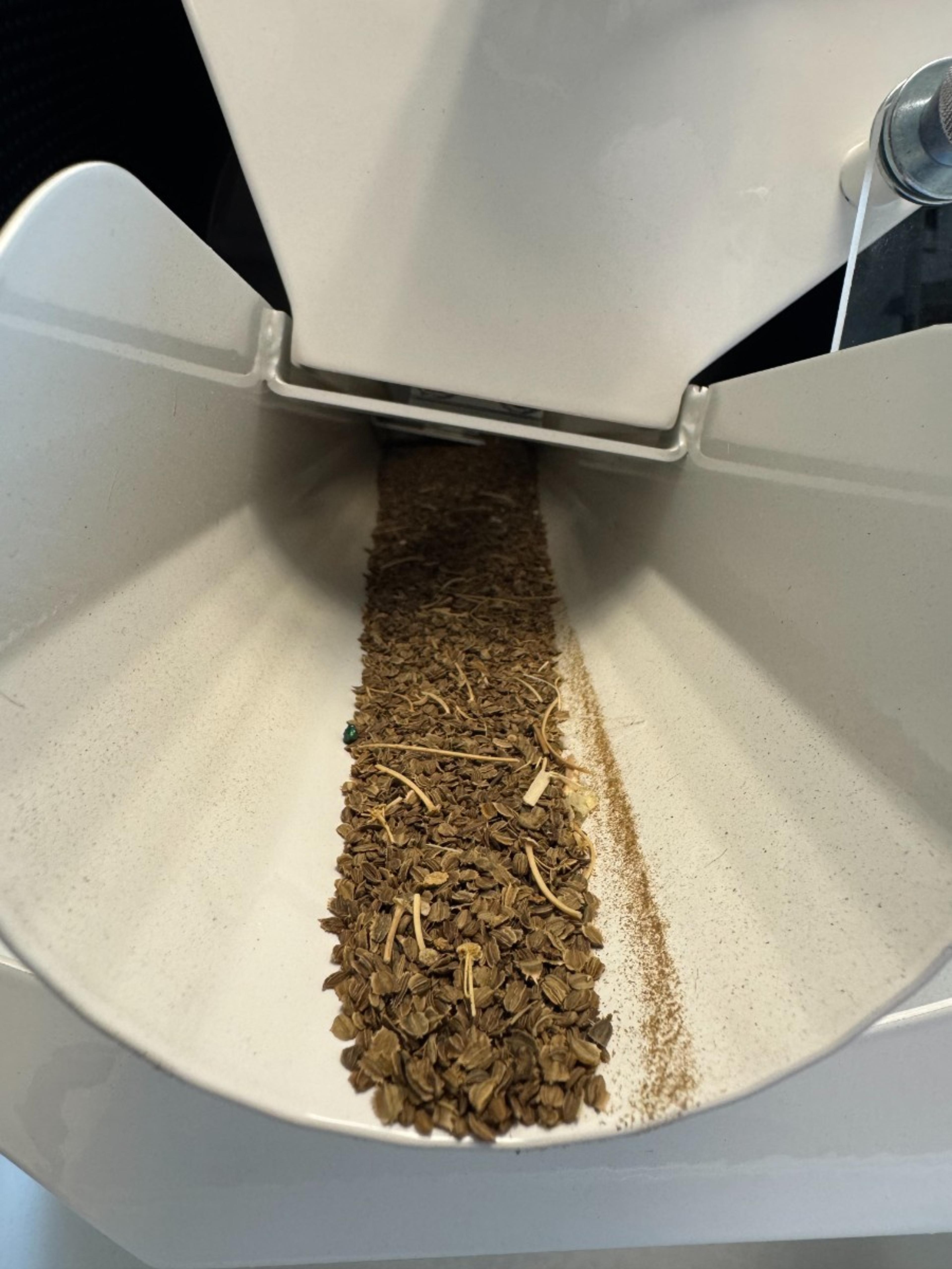 Header 2 Seed Processing
