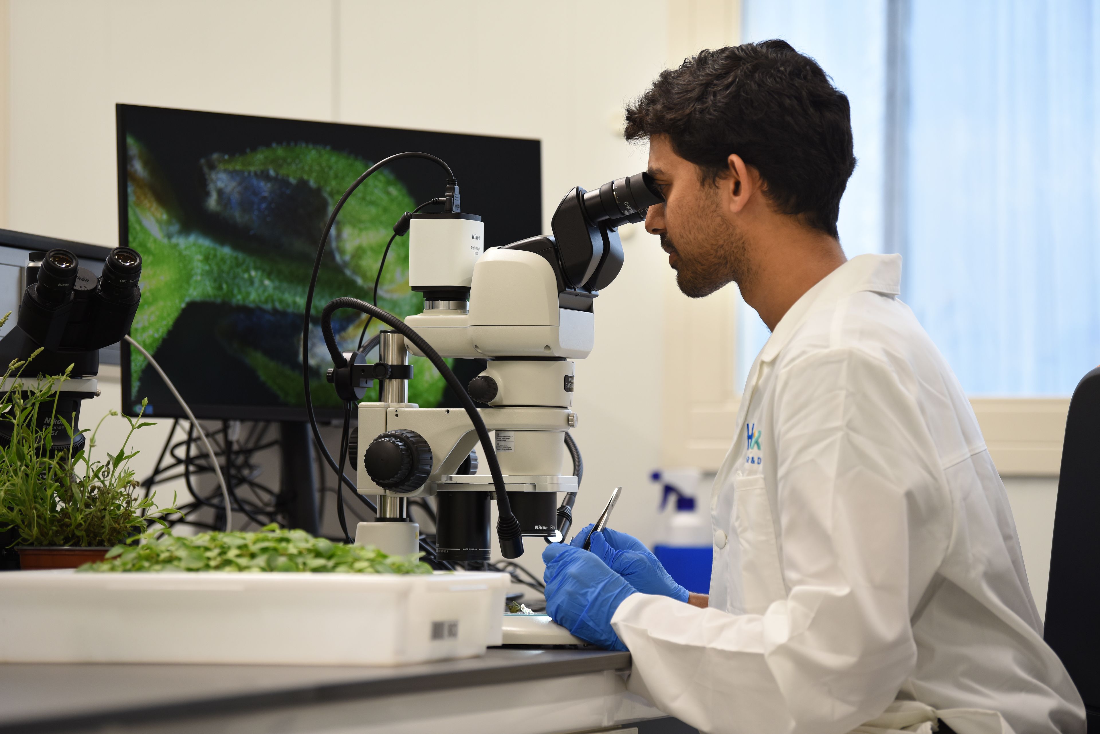 Lab On the Job