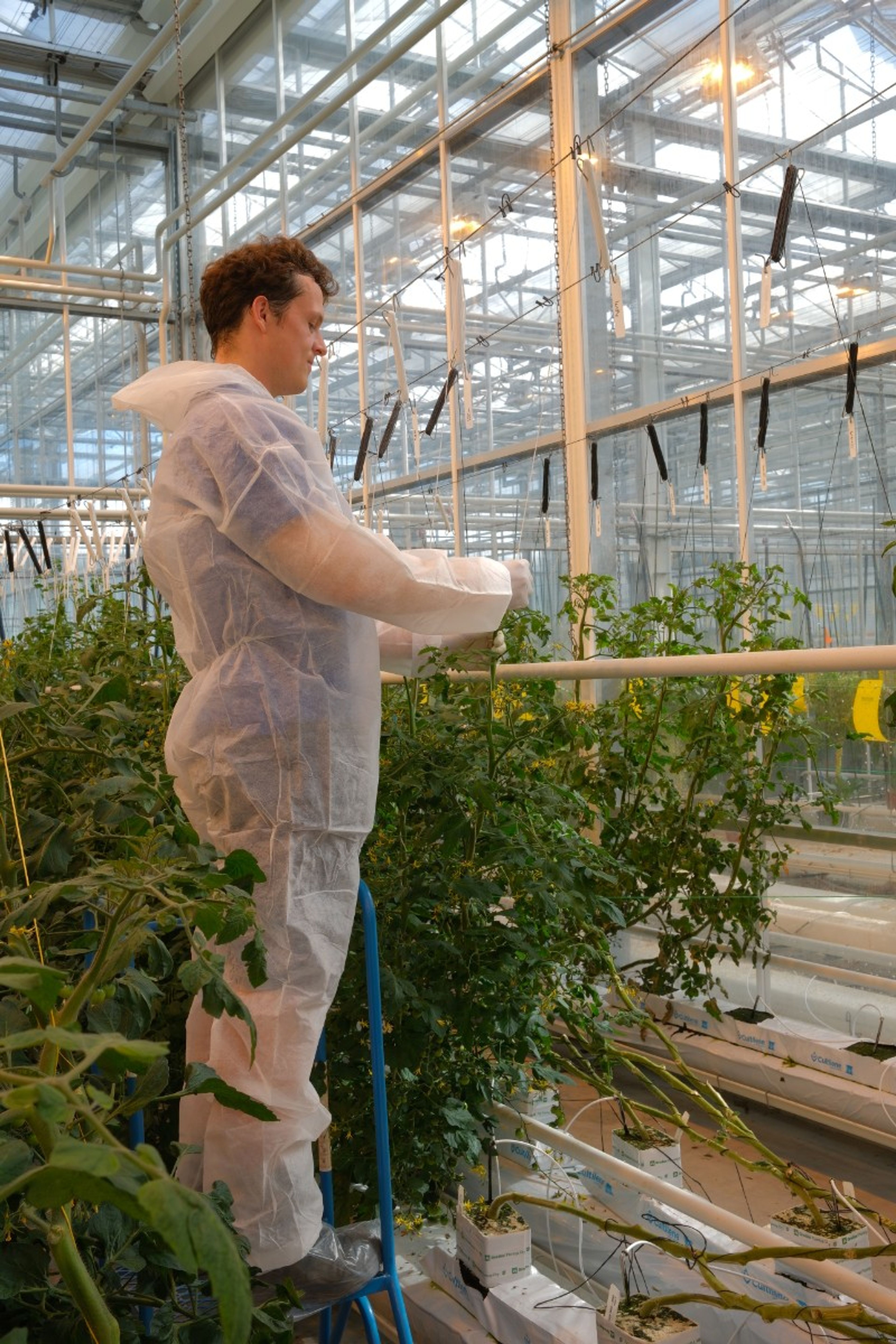 Mathijs Syngenta-8