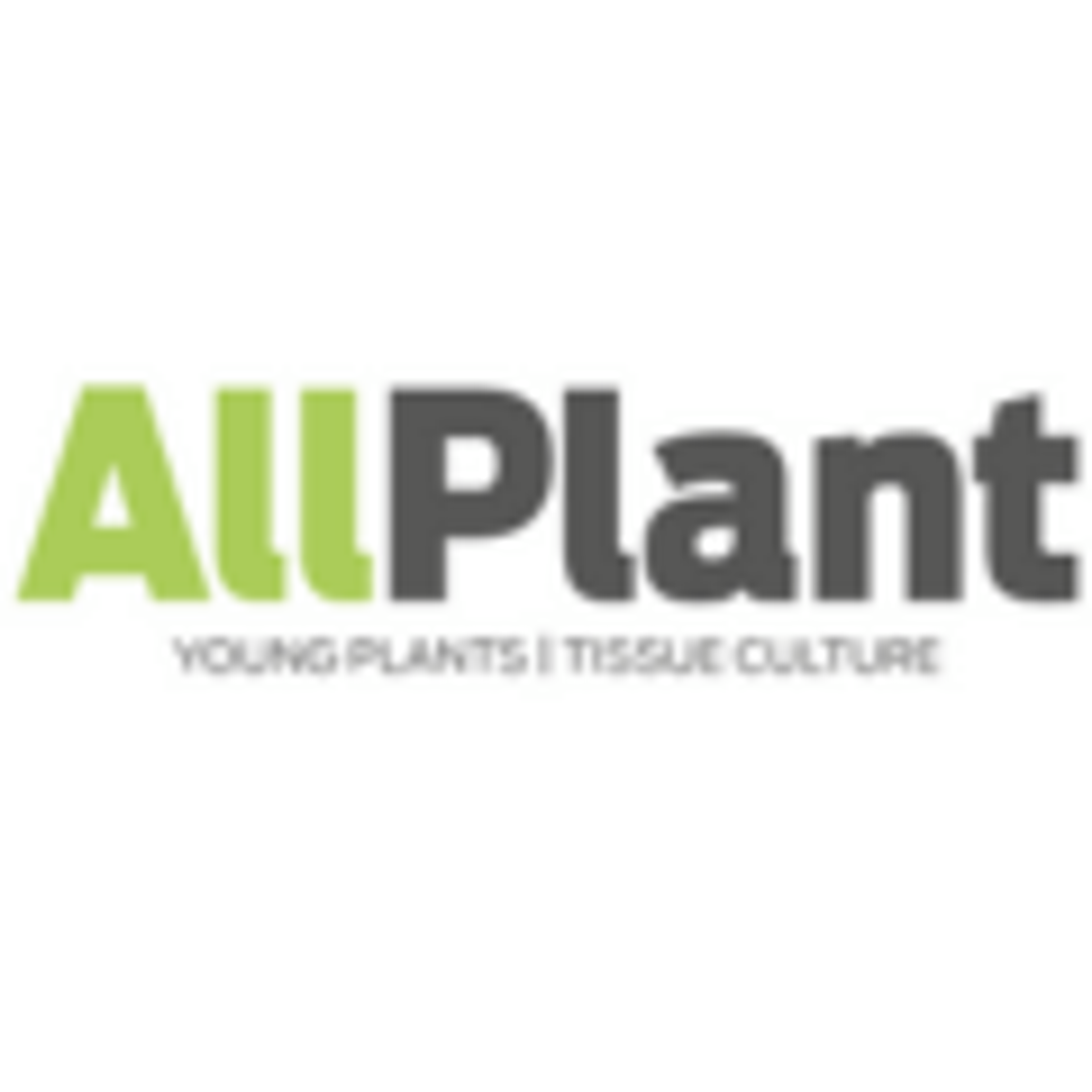 Logo: Allplant
