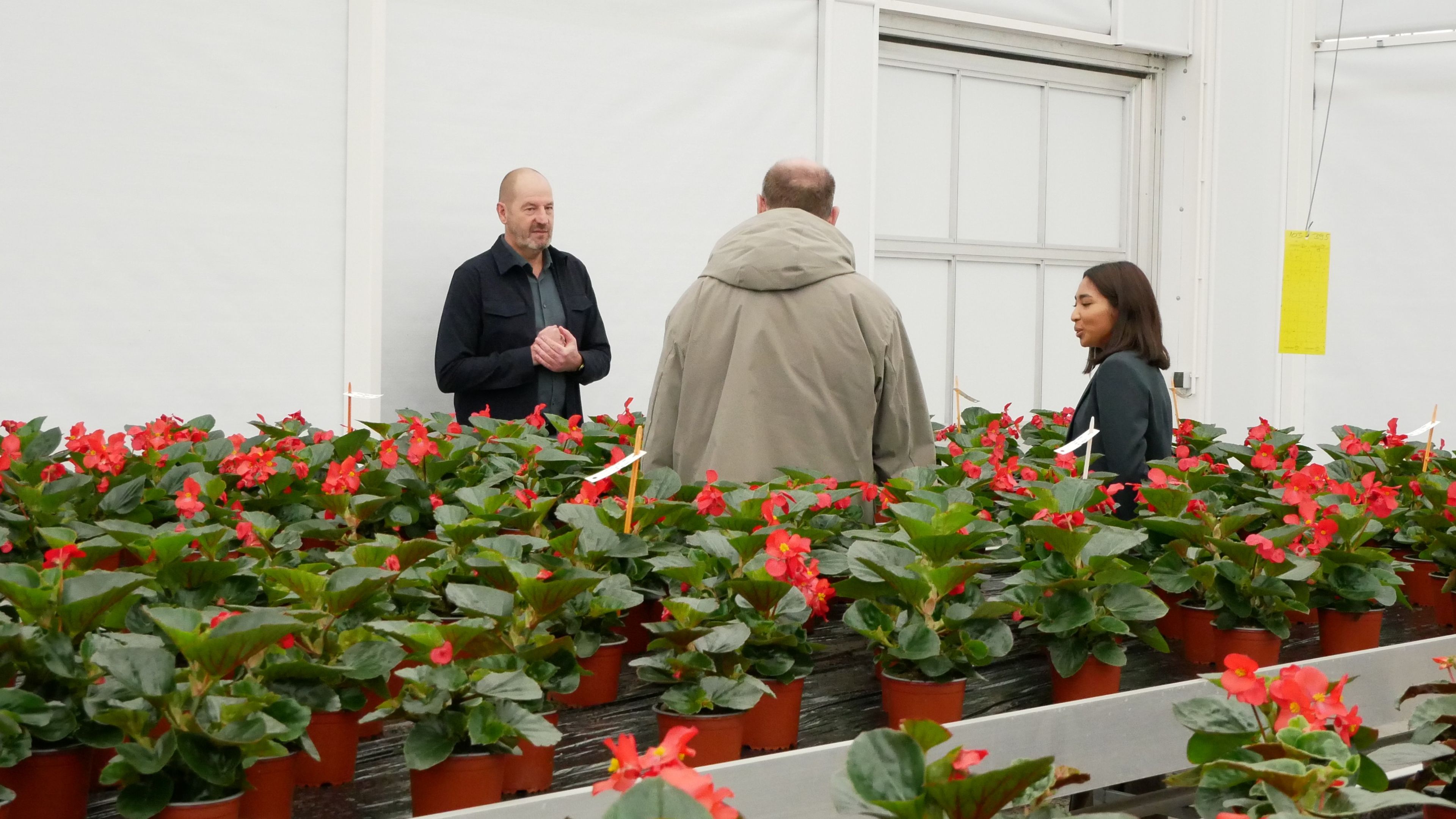 Directeur voor 1 dag - PanAmerican Seed